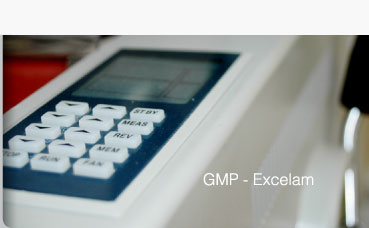 GMP - Excelam